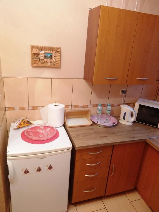 Апартаменты Apartamenty w Centrum - Zakopane Закопане-19