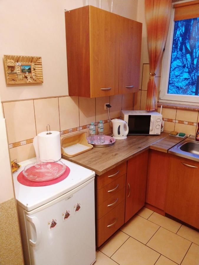 Апартаменты Apartamenty w Centrum - Zakopane Закопане-22