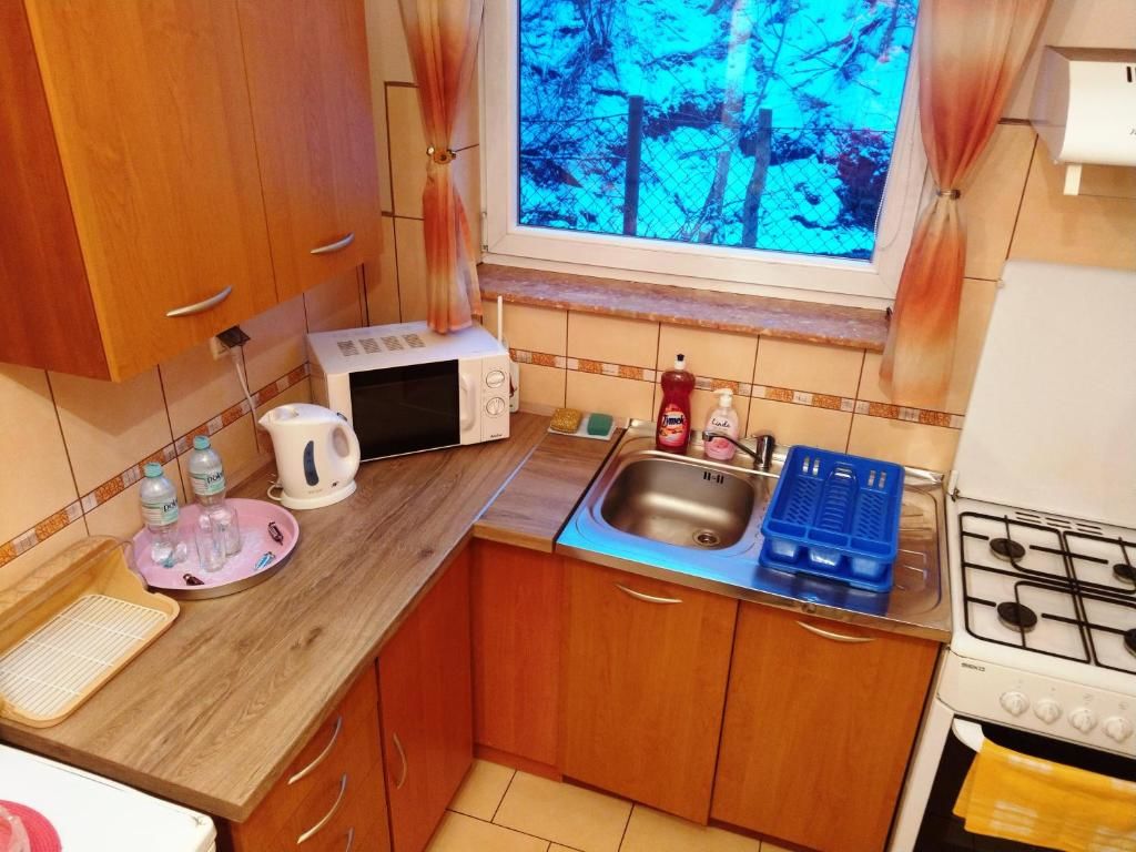 Апартаменты Apartamenty w Centrum - Zakopane Закопане-50