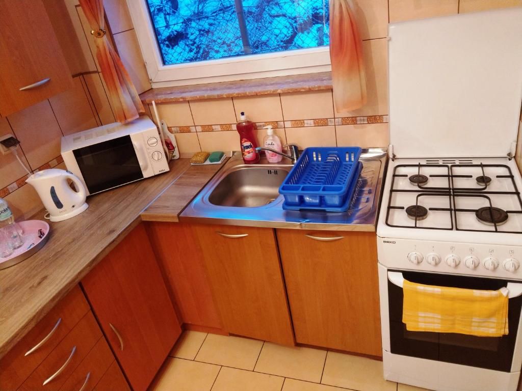 Апартаменты Apartamenty w Centrum - Zakopane Закопане-51