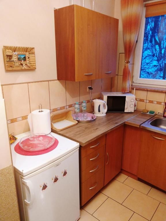 Апартаменты Apartamenty w Centrum - Zakopane Закопане-57