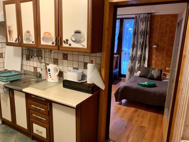 Апартаменты Apartamenty w Centrum - Zakopane Закопане-28