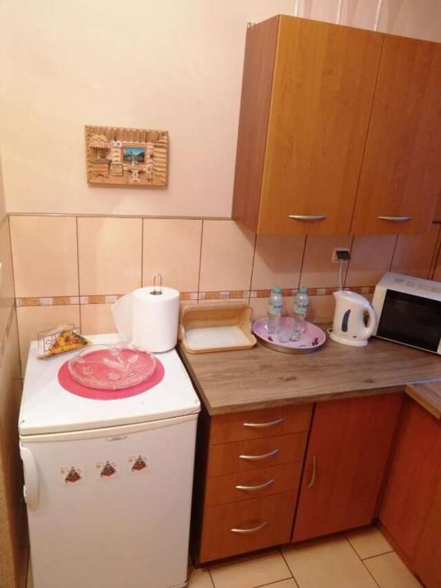 Апартаменты Apartamenty w Centrum - Zakopane Закопане-58